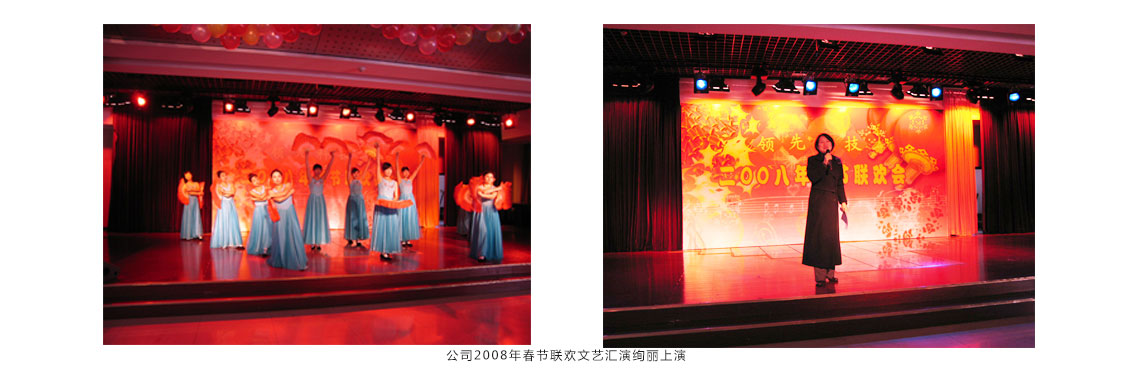 公司2008年春节联欢文艺汇演壮丽上演