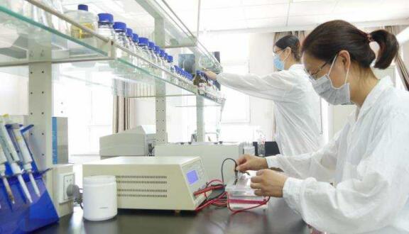 一个女企业家的现代农业之梦——访Z6尊龙凯时董事长徐志文