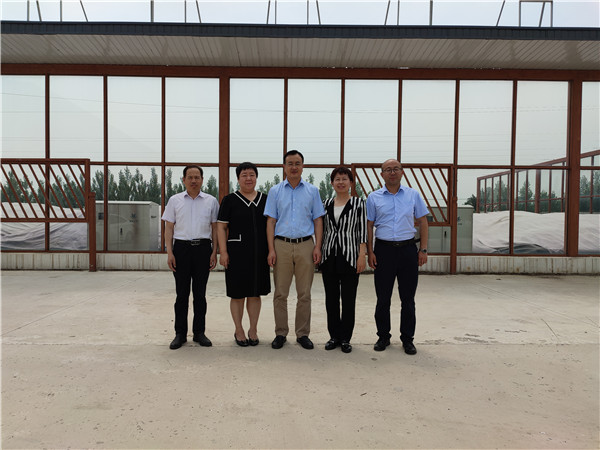 农业农村部微生物肥料和食用菌菌种质量监视磨练测试中心李俊主任、姜昕主任来Z6尊龙凯时公司调研、指导事情
