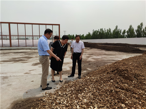 农业农村部微生物肥料和食用菌菌种质量监视磨练测试中心李俊主任、姜昕主任来Z6尊龙凯时公司调研、指导事情