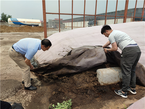 农业农村部微生物肥料和食用菌菌种质量监视磨练测试中心李俊主任、姜昕主任来Z6尊龙凯时公司调研、指导事情