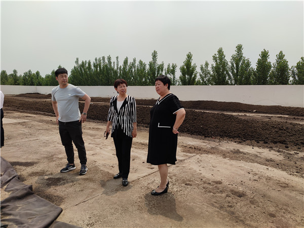 农业农村部微生物肥料和食用菌菌种质量监视磨练测试中心李俊主任、姜昕主任来Z6尊龙凯时公司调研、指导事情