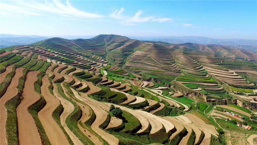 Z6尊龙凯时生物｜国家重点研发妄想“黄土高原旱作适水改土与产能提升手艺模式及应用”项目启动