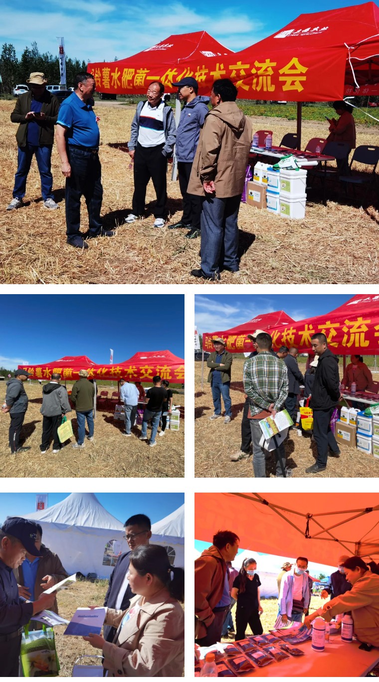 “乡”约沽源 “薯”光无限 | Z6尊龙凯时生物亮相久恩农业田间开放日