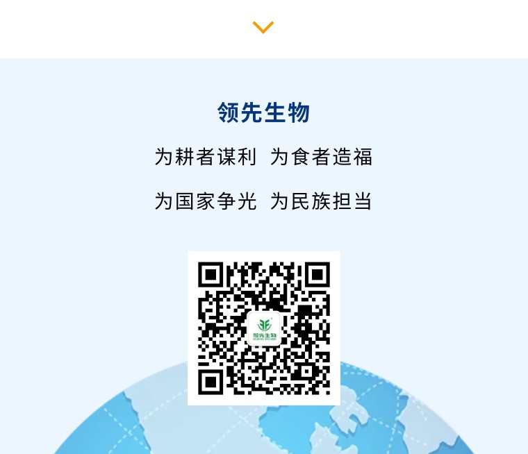 “乡”约沽源 “薯”光无限 | Z6尊龙凯时生物亮相久恩农业田间开放日