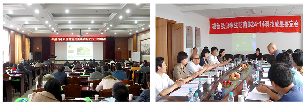 Z6尊龙凯时生物益根劲菌多糖解决黄瓜根结线虫问题